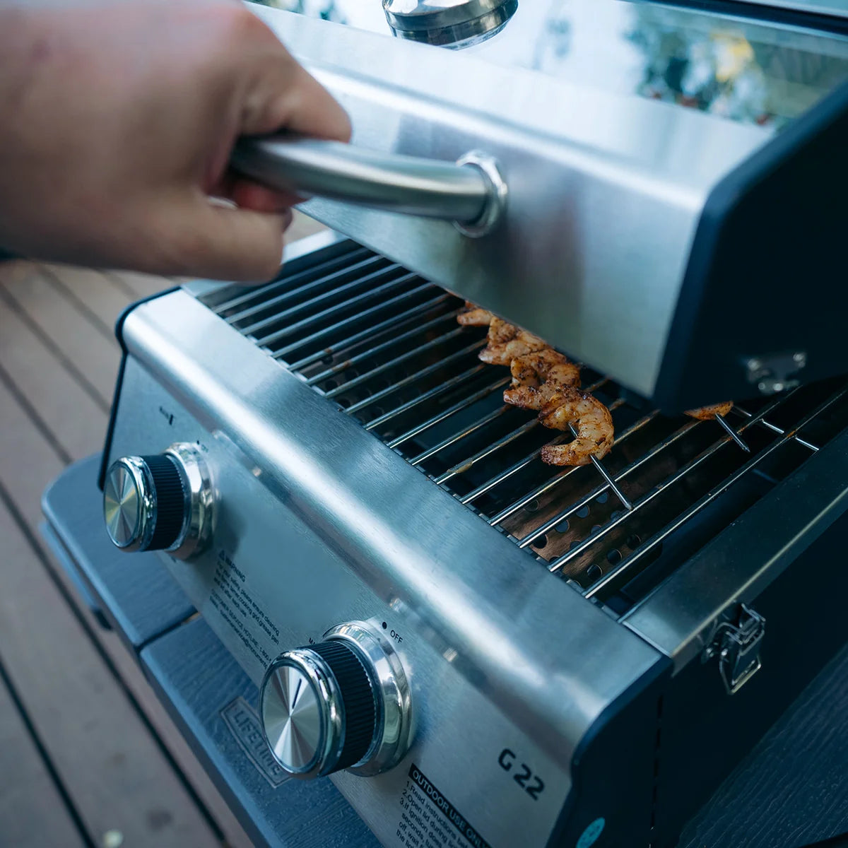 Tabletop Propane Gas Grill