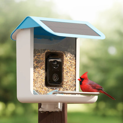 Video Camera Bird Feeder by