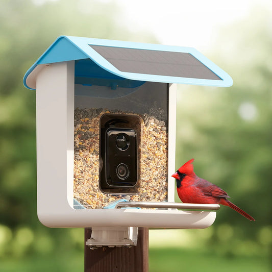 Video Camera Bird Feeder by