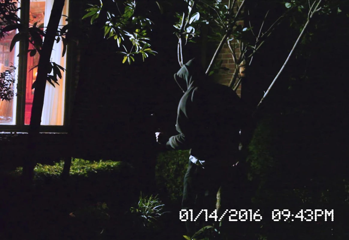 Solar Security Video Camera and Floodlight