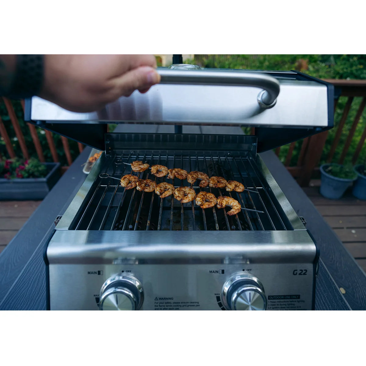 Tabletop Propane Gas Grill