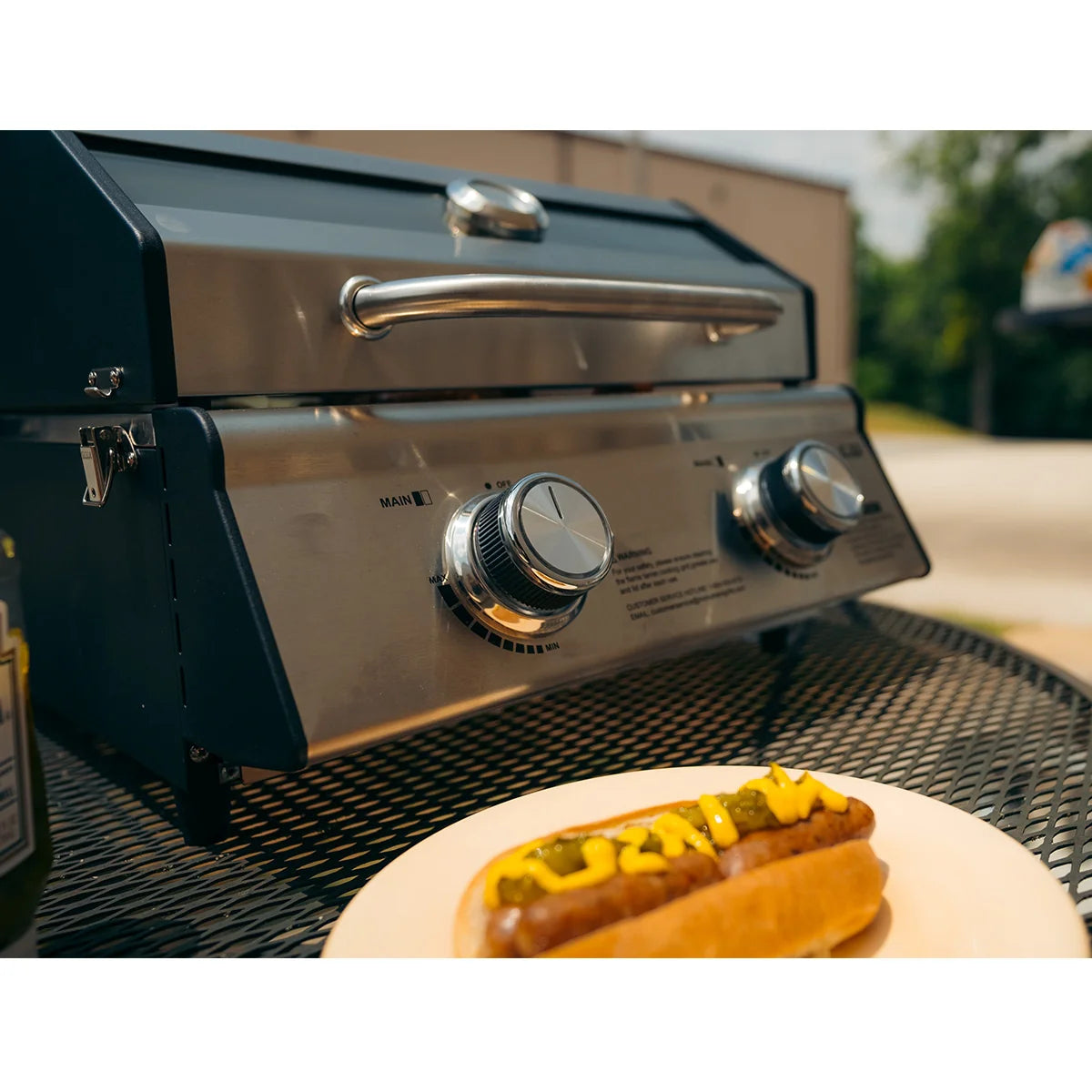 Tabletop Propane Gas Grill