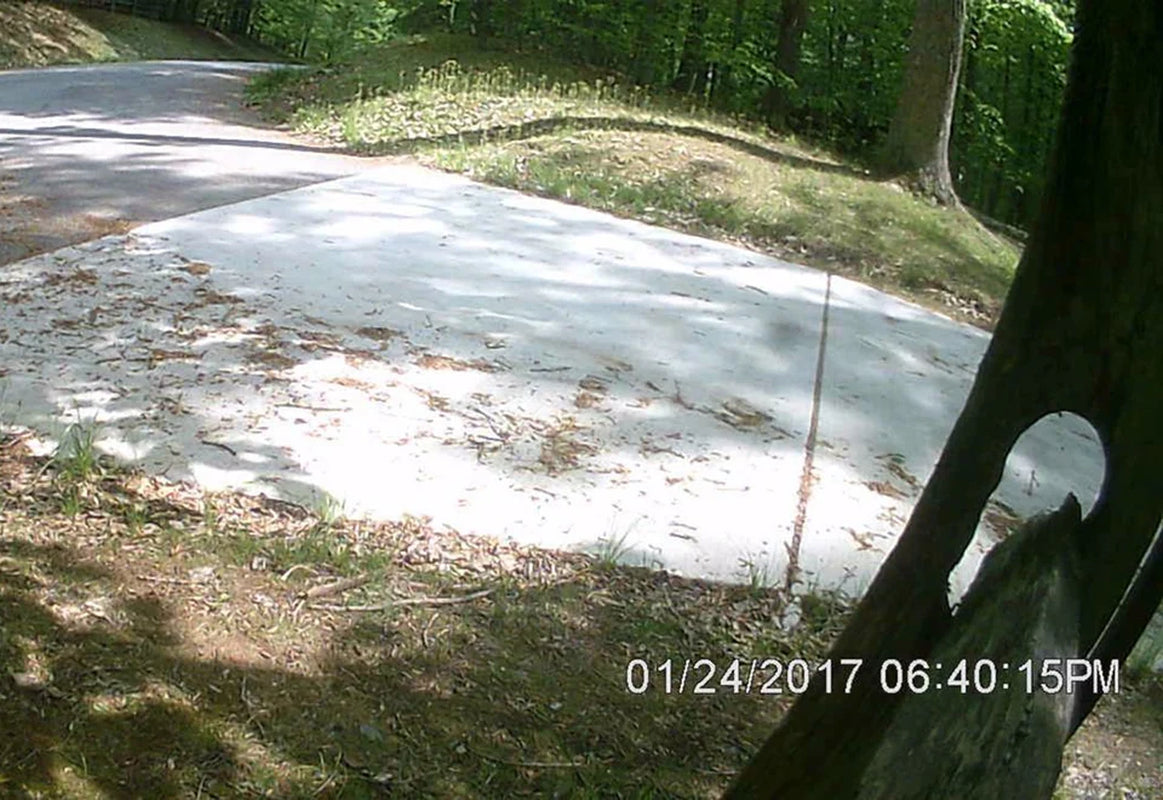 Solar Security Video Camera and Floodlight