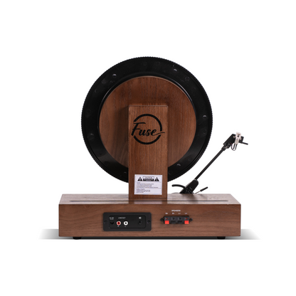 Rear connections on Fuse Audio GLD vertical record player