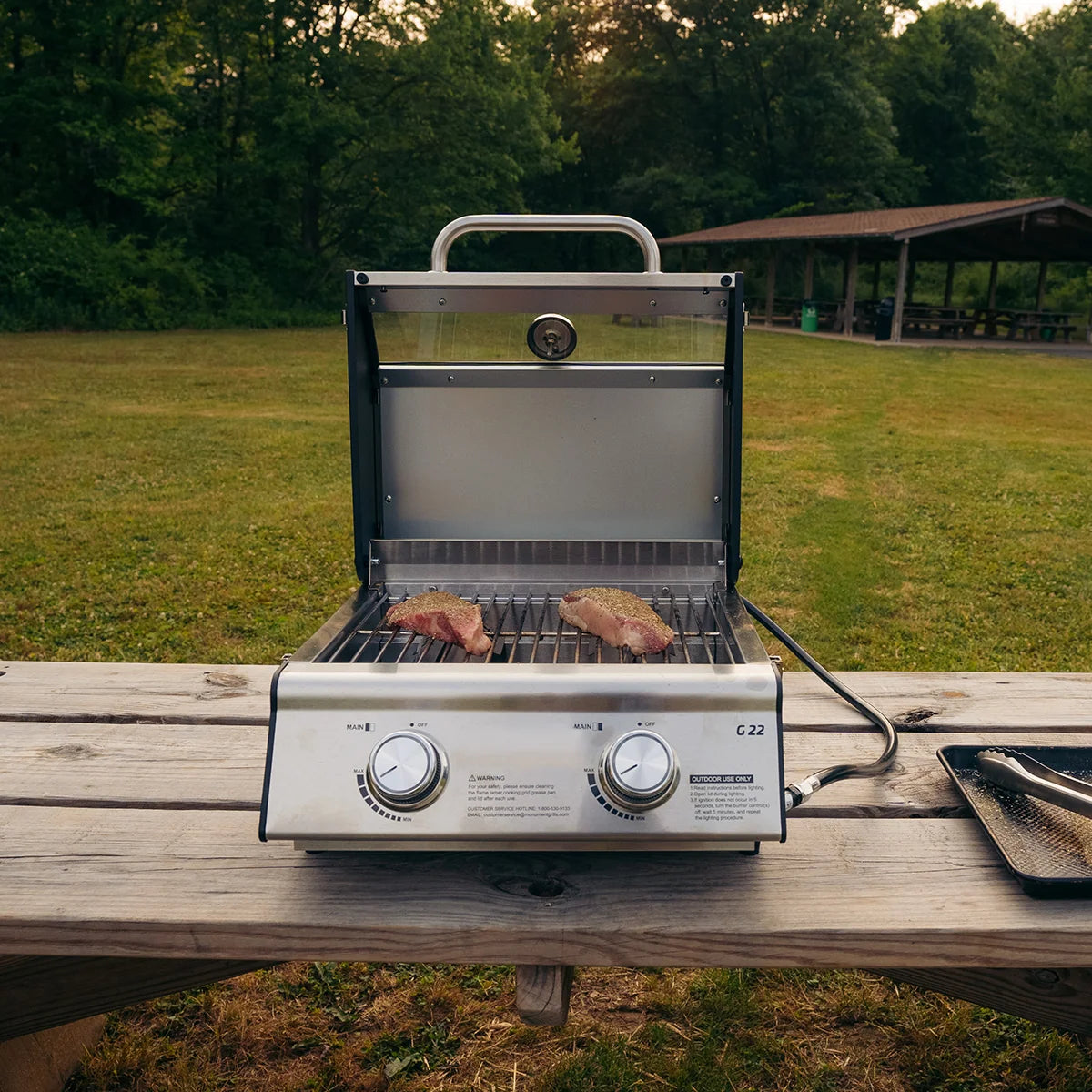 Tabletop Propane Gas Grill