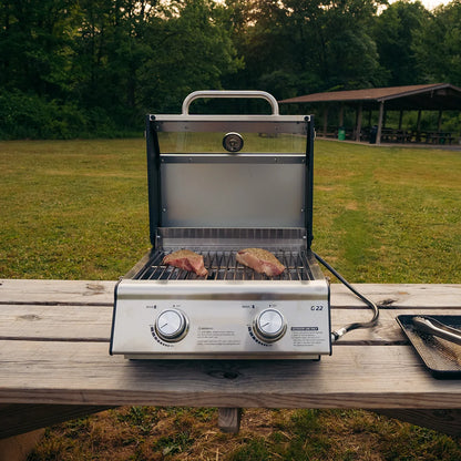 Tabletop Propane Gas Grill