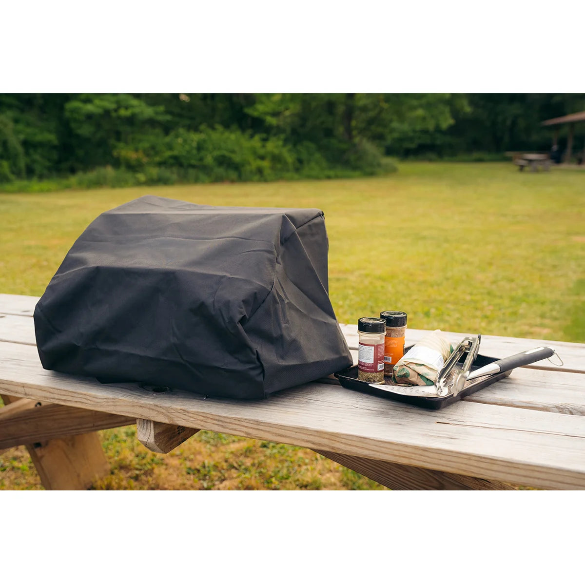 Tabletop Propane Gas Grill