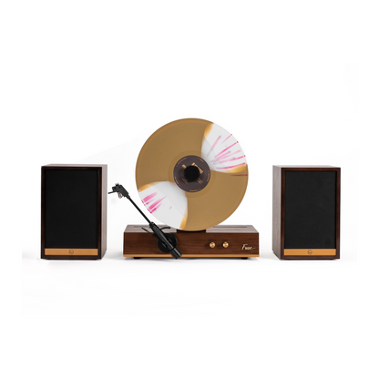 Fuse Audio GLD vertical record player with stereo speakers
