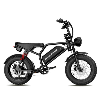 Windhorse V8 Mini Fat Tire Electric Bike